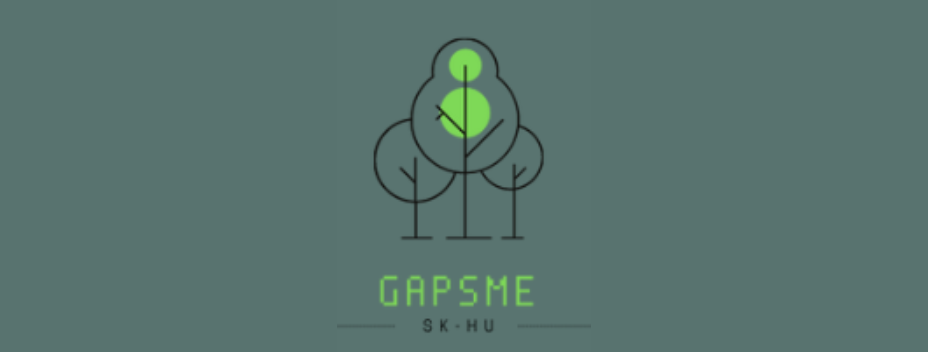 GAPSME program